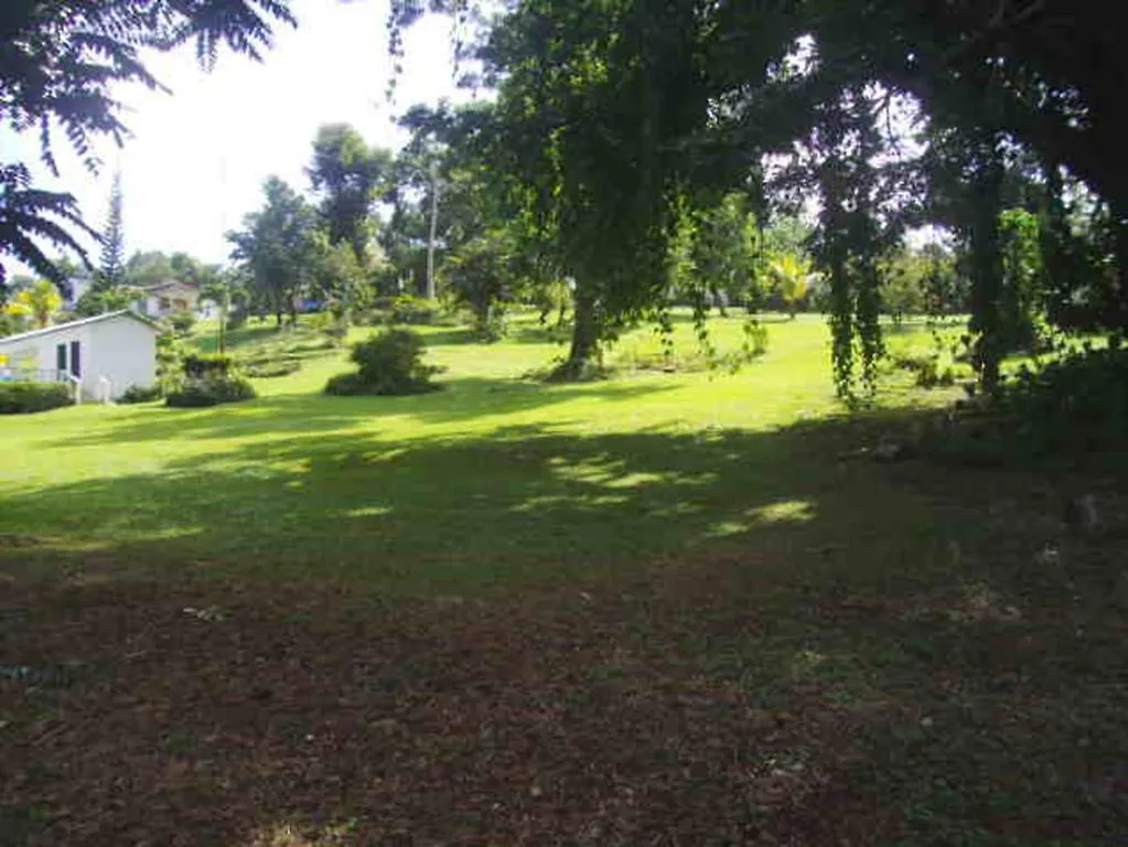 Πανσιόν Shotover Gardens Estate Πορτ Αντόνιο Τζαμάικα