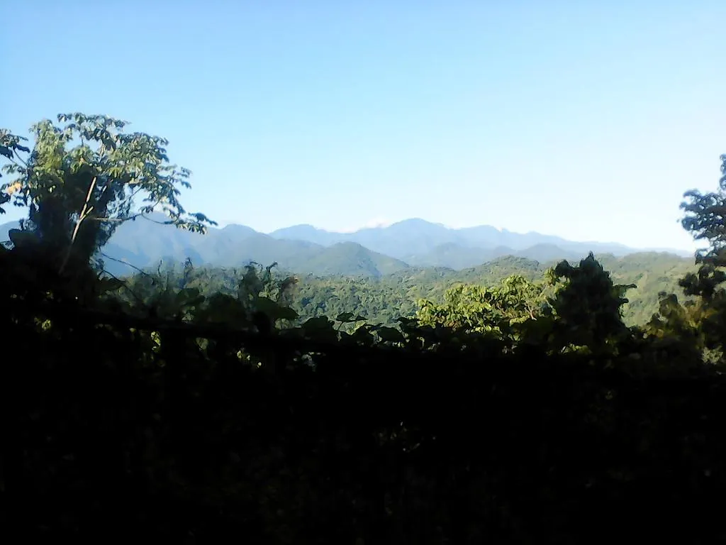 Shotover Gardens Estate Port Antonio Guest house