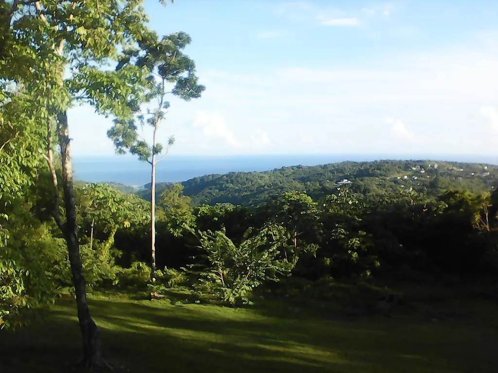 Shotover Gardens Estate Port Antonio