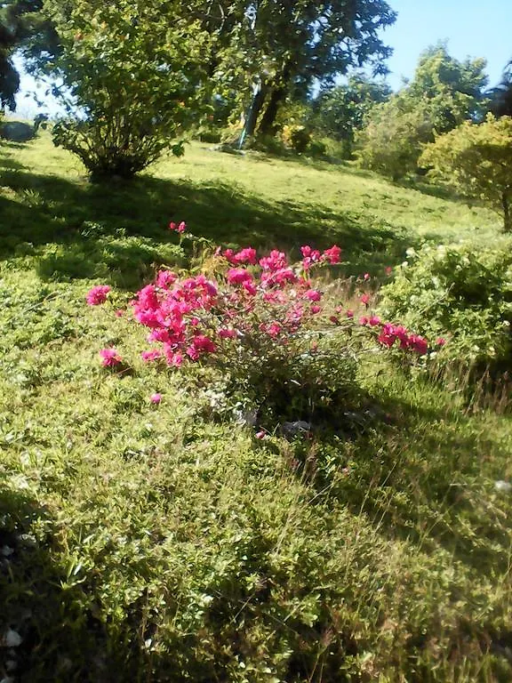 Shotover Gardens Estate Port Antonio Guest house