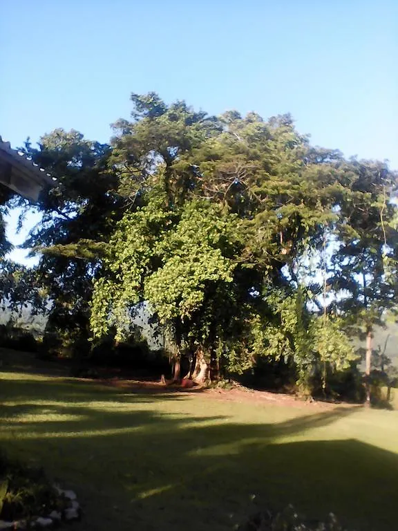 Guest house Shotover Gardens Estate Port Antonio Jamaica
