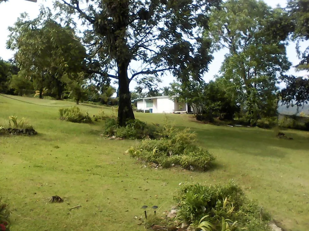 Shotover Gardens Estate Port Antonio Jamaica