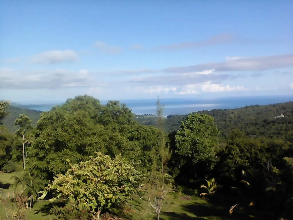 Shotover Gardens Estate Port Antonio Guest house