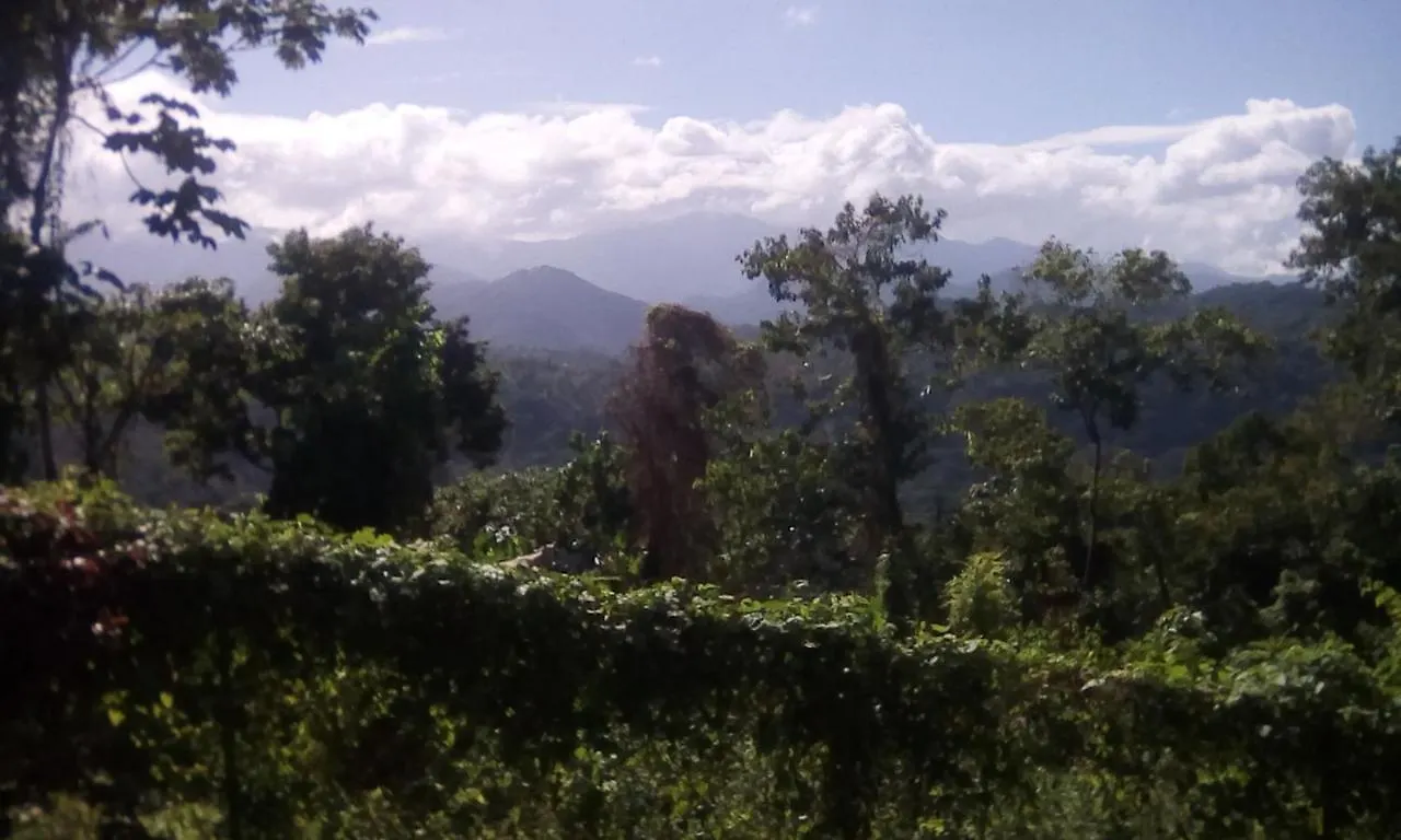 Shotover Gardens Estate Port Antonio 0*,  Jamaica