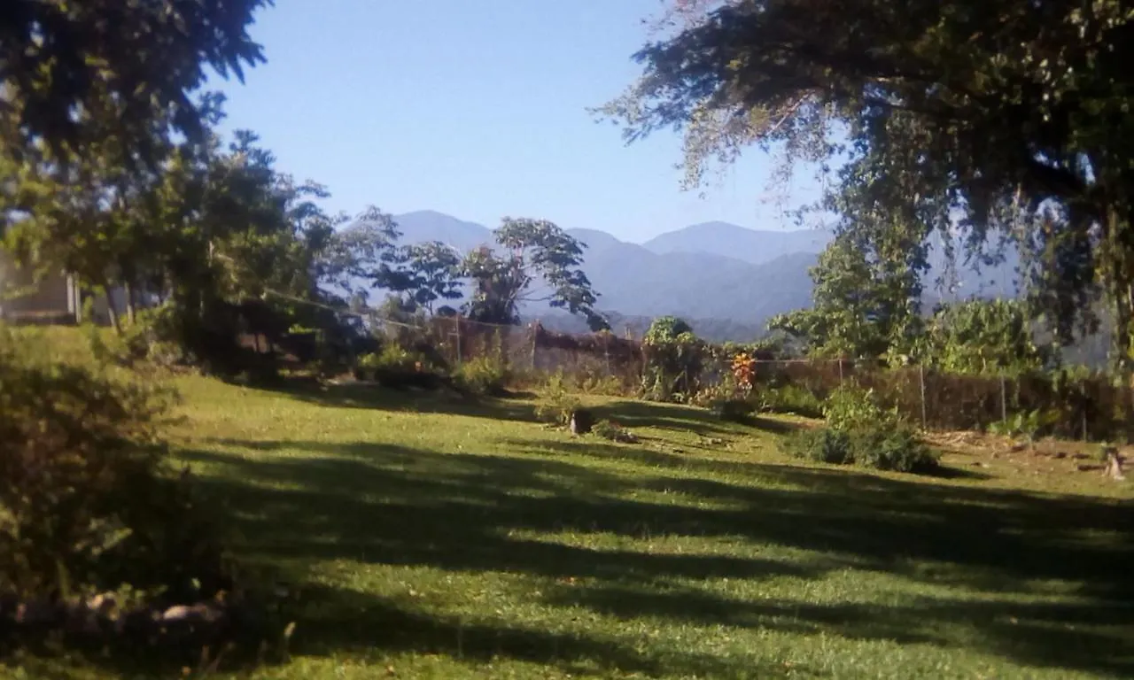 Shotover Gardens Estate Port Antonio