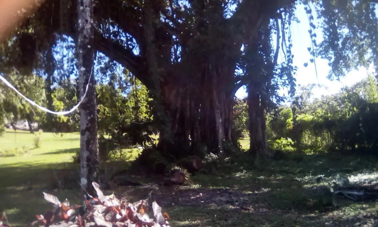 Guest house Shotover Gardens Estate Port Antonio