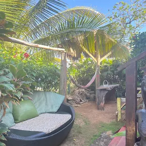 Rasta - Ocean View Bungalows Port Antonio
