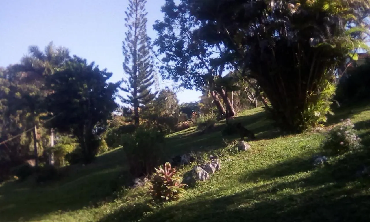 בית הארחה פורט אנטוניו Shotover Gardens Estate